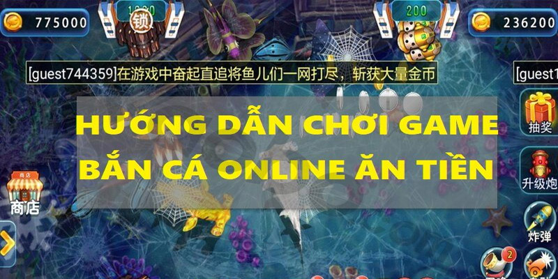 Cách chơi chơi Cash Fish ăn tiền