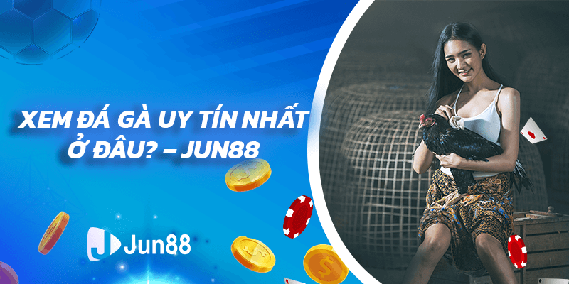 Xem Đá Gà Uy Tín Nhất Ở Đâu? - Jun88